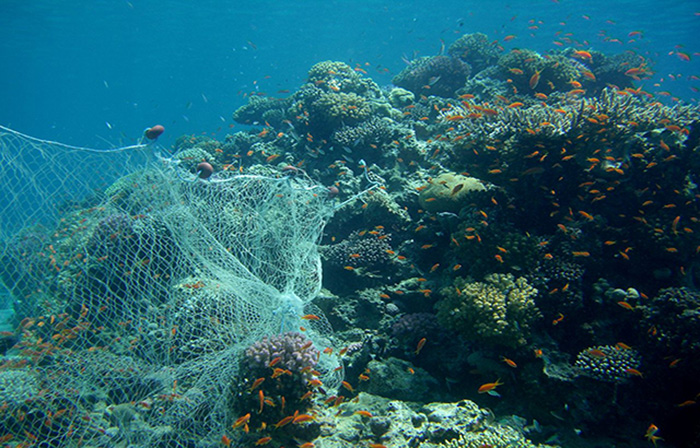 Can we end 'ghost fishing'?