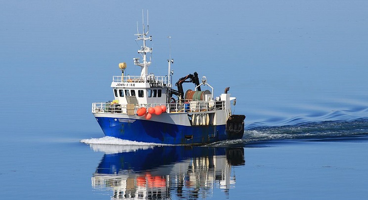 How bottom trawlers destroy massive swaths of the sea floor. Video