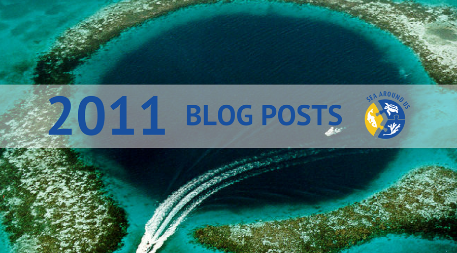 2011 blog posts