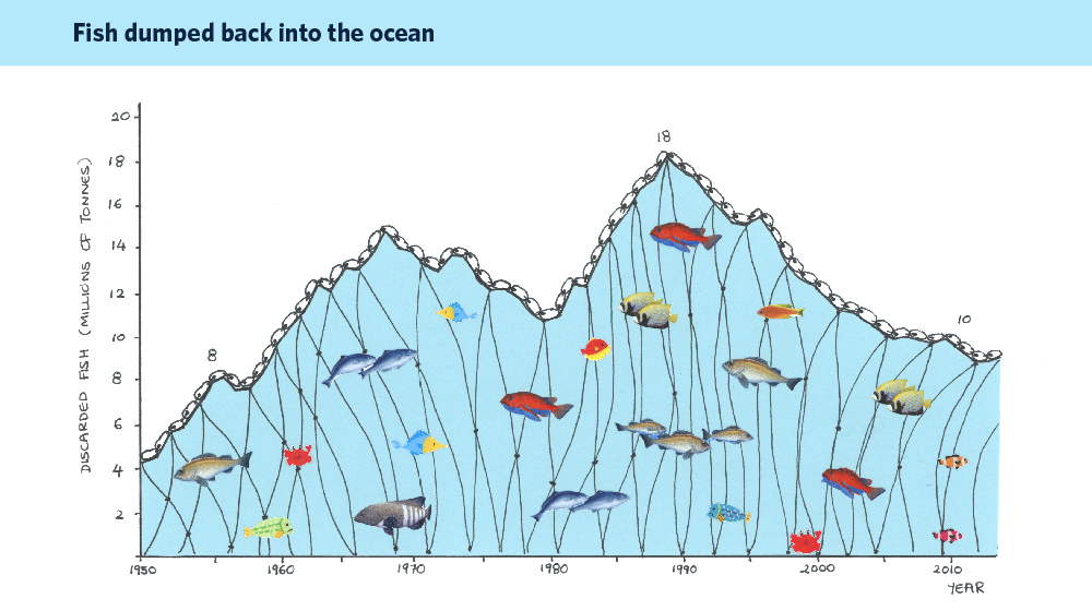 Ten million tonnes of fish wasted every year despite declining fish stocks