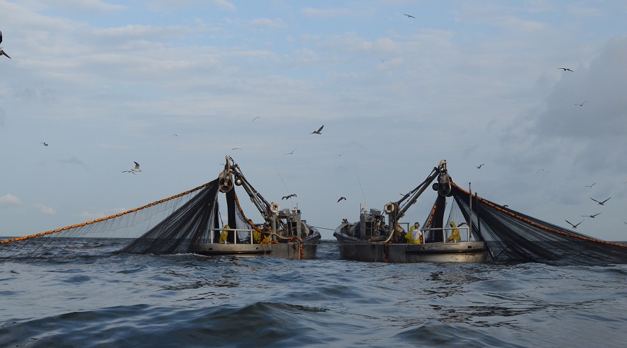 Menhaden fisheries in Louisiana, USA. Photo by Louisiana Sea Grant College Program Louisiana State University, Flickr, CC BY 2.0.
