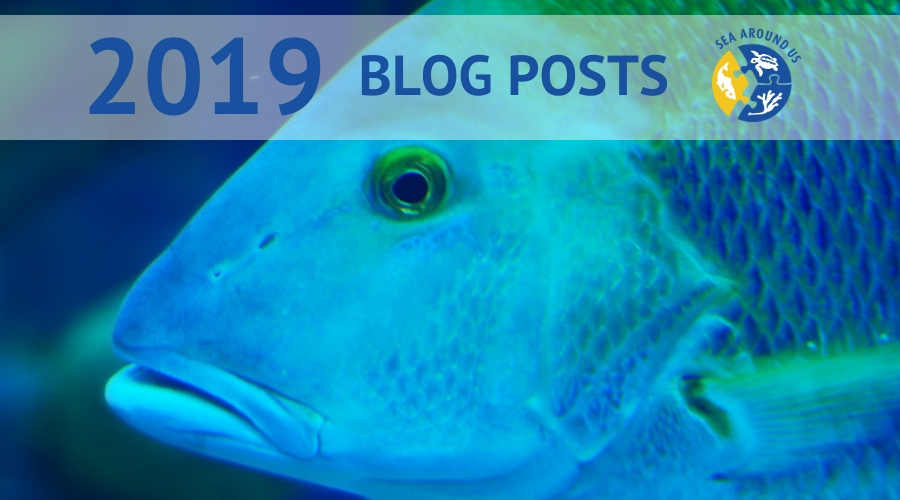 2019 Blog Posts Sea Around Us