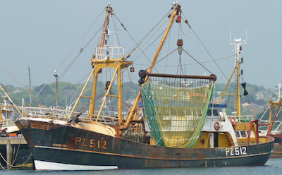 COVID-19 and Brexit can help with the recovery of UK fish stocks