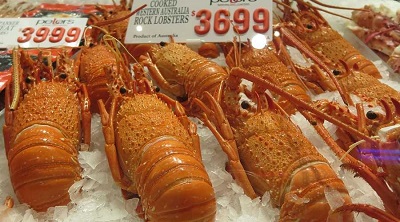The rock lobster fishery is Western Australia’s most valuable fishery. (Image by mabelyeap, Pixabay.