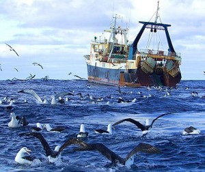 The Belise-registered deep sea trawler Chang Xing trawling in in