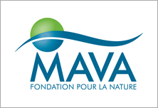 The MAVA Foundation