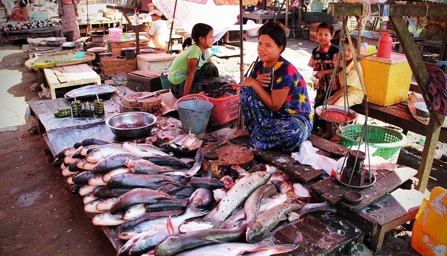 Fish market. Photo by 3dman_eu Pixabay.