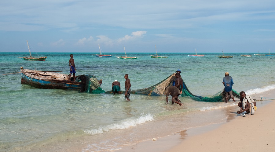 Fishermen holding a net between boat and beach at Pinda, Mozambique. Photo by Stig Nygaard, Wikimedia Commons.