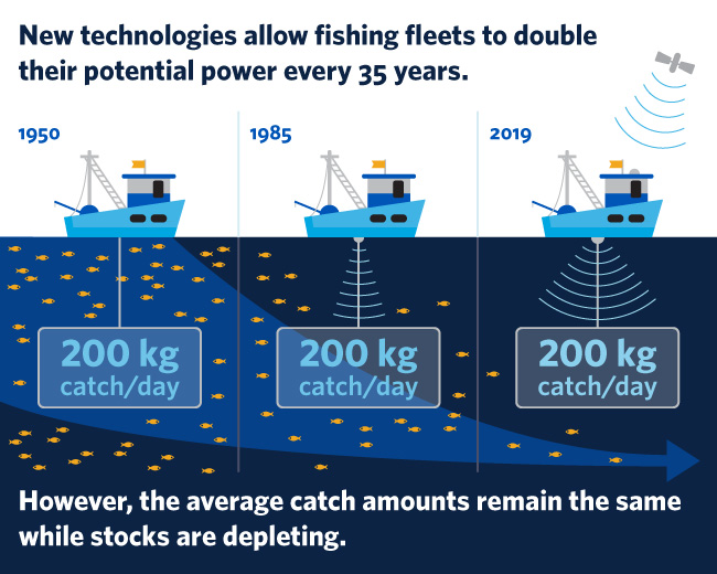 New technology allows fleets to double fishing capacity -- and deplete fish stocks faster