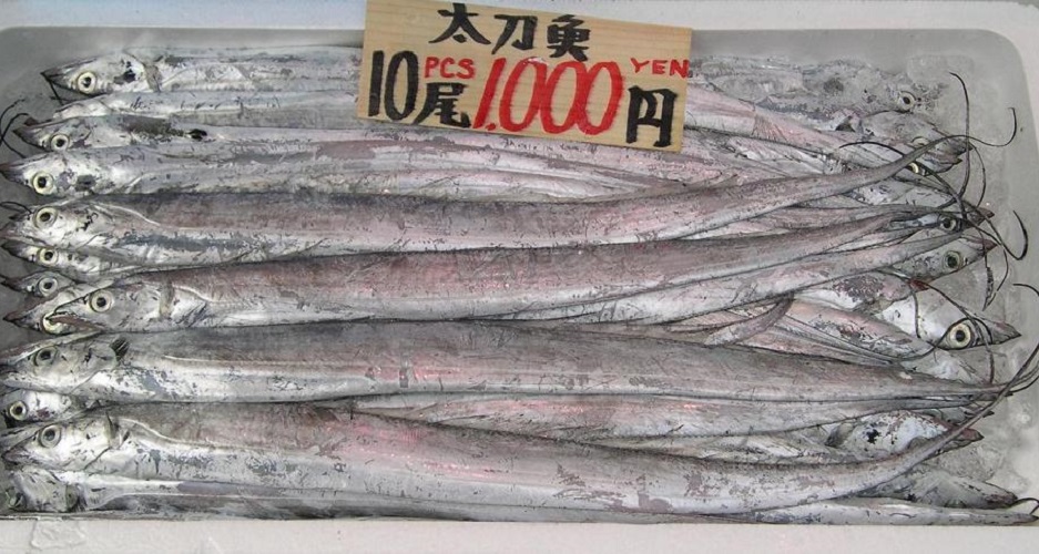 Popular fish in China would increase in value if they were caught with larger meshes