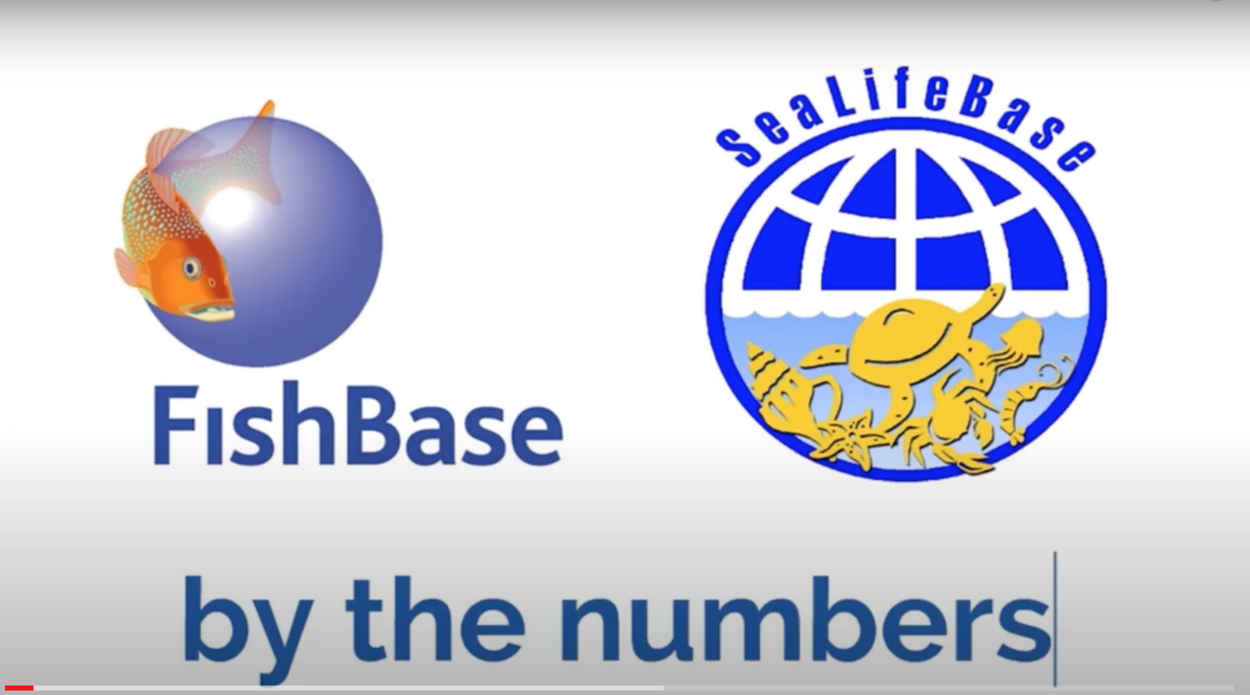 FishBase and SeaLifeBase by the numbers