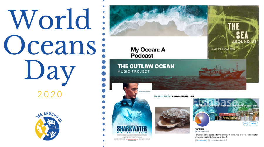 World Oceans Day 2020 - Ocean-related content you can access at home