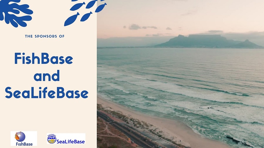 Who supports FishBase and SeaLifeBase?