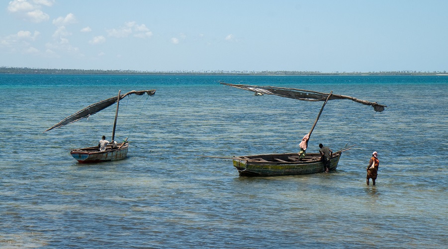 As fishing effort grows, catches decline in the Mozambique Channel region