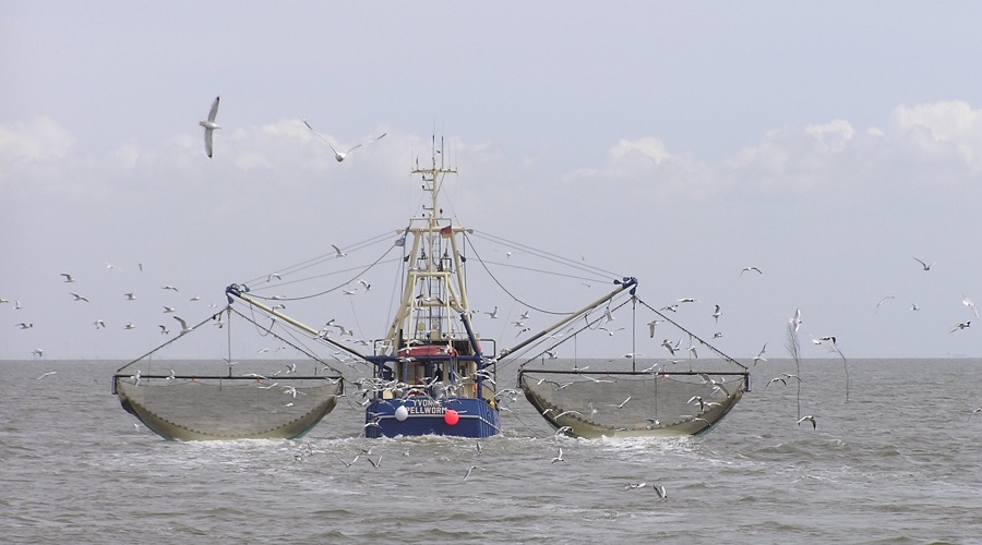 Nearly 300 scientists ask the WTO to ban harmful fisheries subsidies