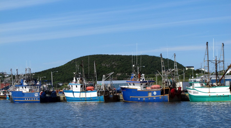 Fishing boats in Newfoundland's port