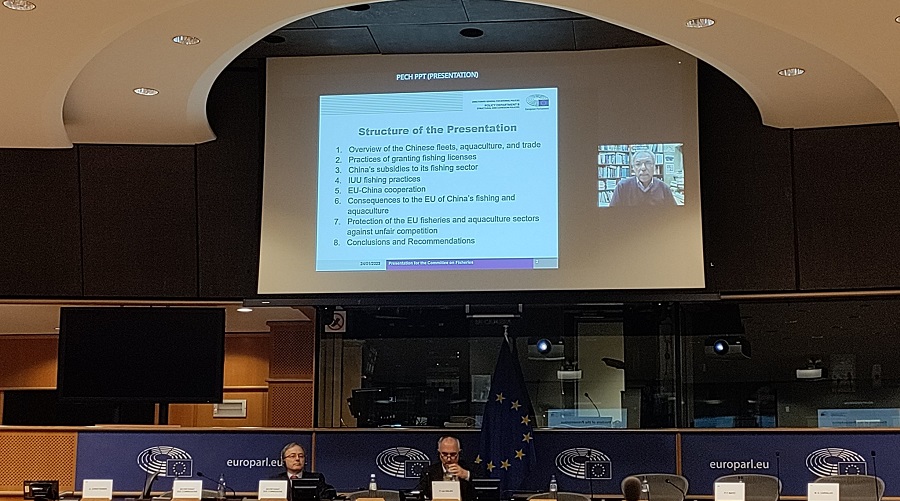 Daniel Pauly presenting before the European Parliament, January 24, 2023