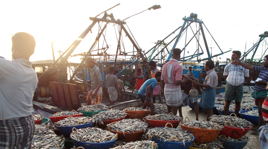 Rising catches in the Indian Ocean hint at risk to sustainability