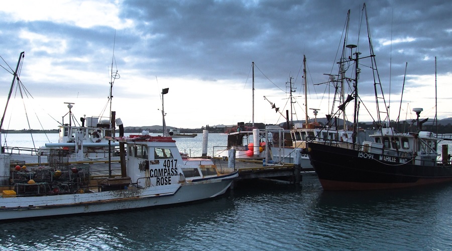 New Zealand Fishing Boats
