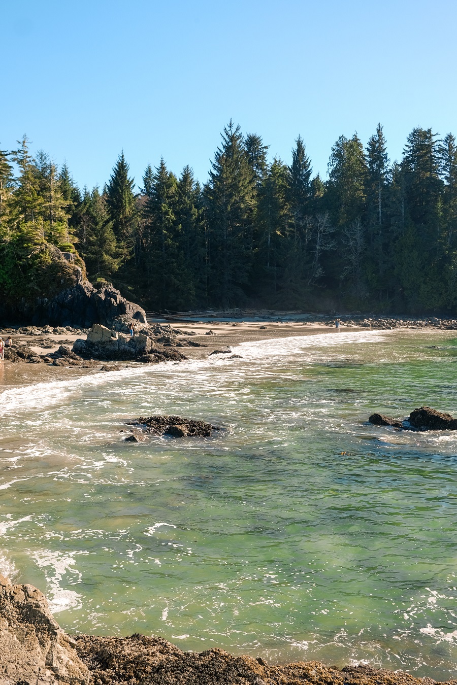 Bamfield. Photo by Anna Luna Rossi.