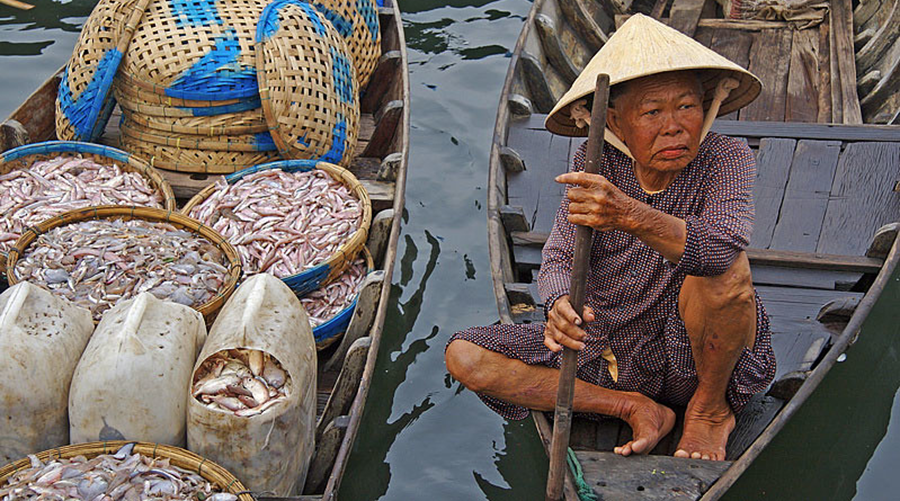 Hoi An fish market in Vietnam.