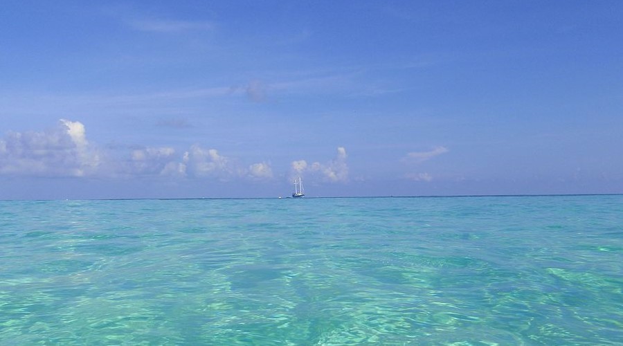 Crystal clear water in the Maldives.