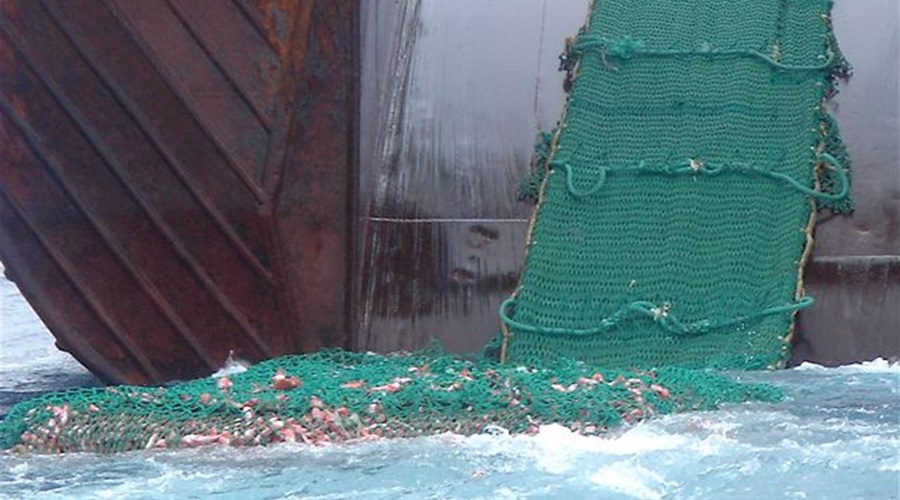 Bottom trawler